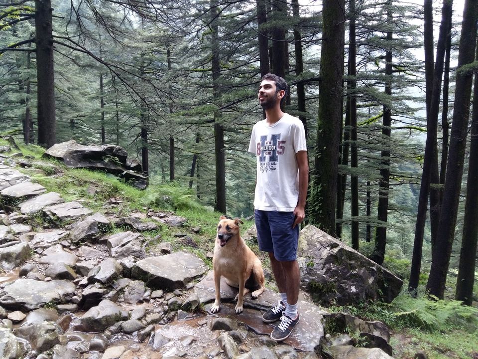 Photo of Triund: An Unexpected Journey by Aarush Tandon