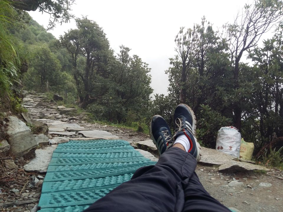 Photo of Triund: An Unexpected Journey by Aarush Tandon