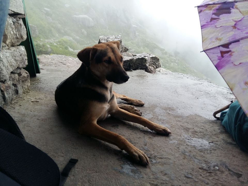 Photo of Triund: An Unexpected Journey by Aarush Tandon