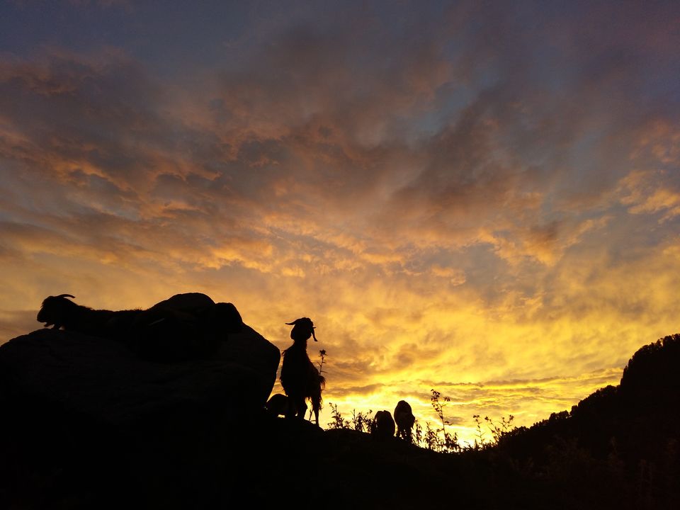 Photo of Triund: An Unexpected Journey by Aarush Tandon