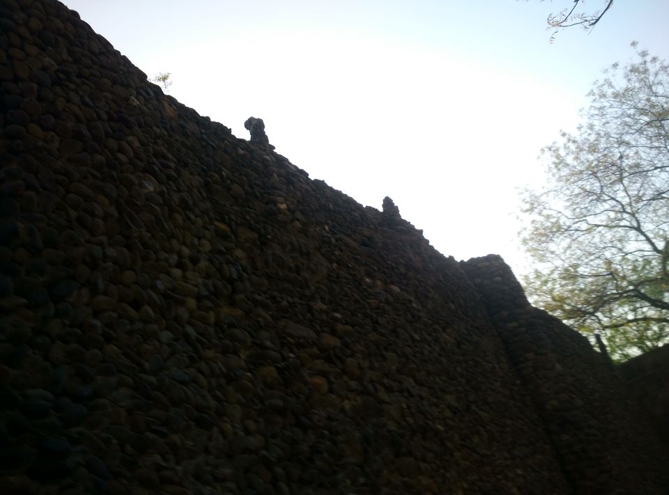 Photo of Every place has a different tale to tell each time you visit it : Chandigarh by Aarush Tandon