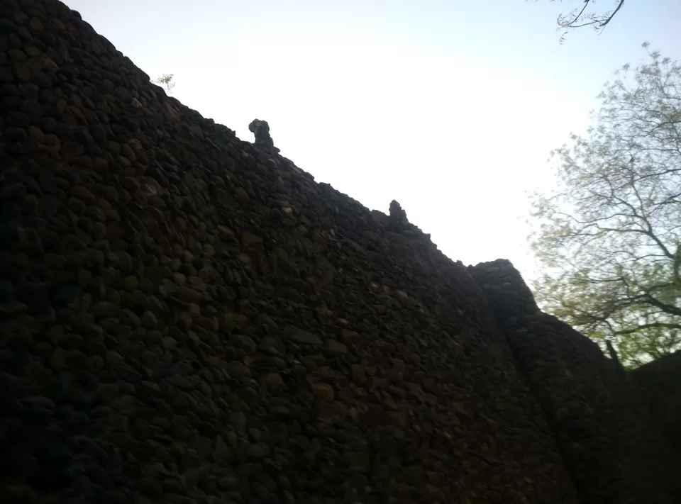Photo of Every place has a different tale to tell each time you visit it : Chandigarh by Aarush Tandon