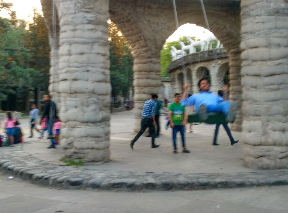Photo of Every place has a different tale to tell each time you visit it : Chandigarh by Aarush Tandon