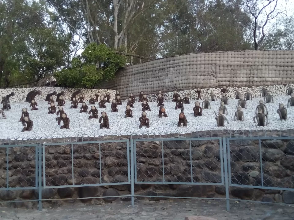 Photo of Every place has a different tale to tell each time you visit it : Chandigarh by Aarush Tandon