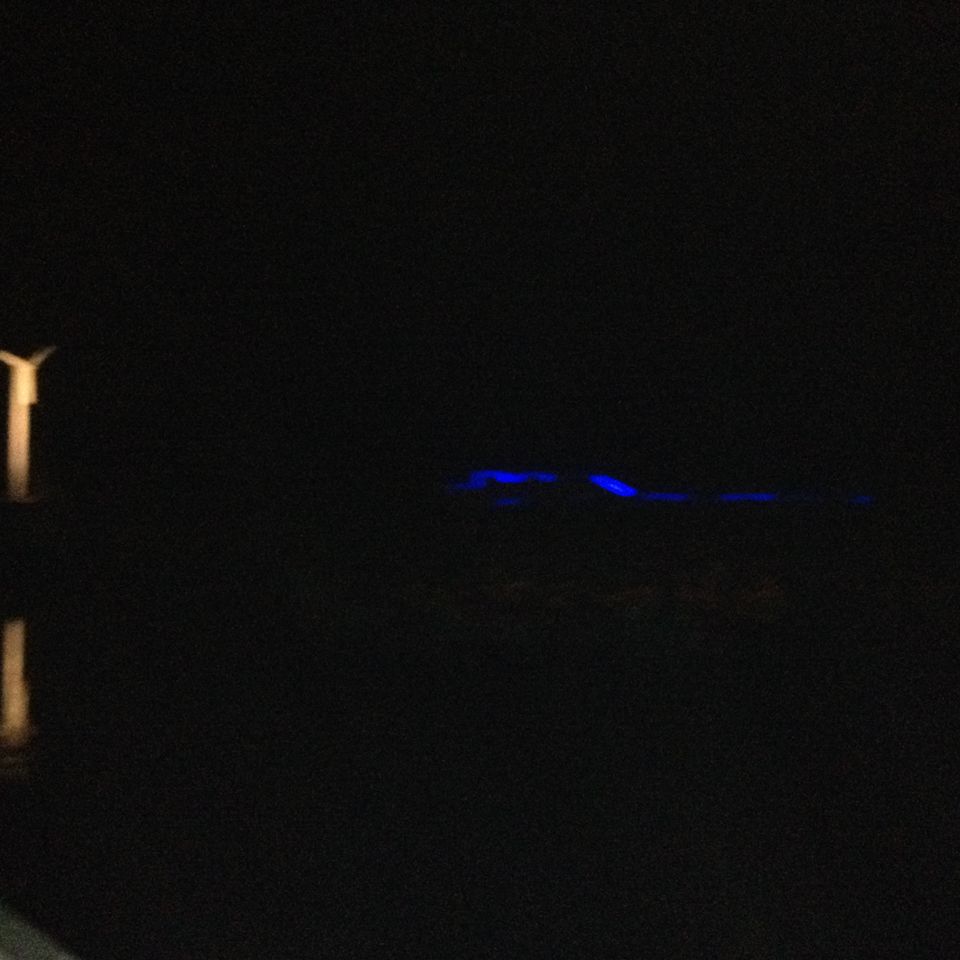 Photo of Sukhna Lake, Sector 1, Chandigarh, India by Aarush Tandon