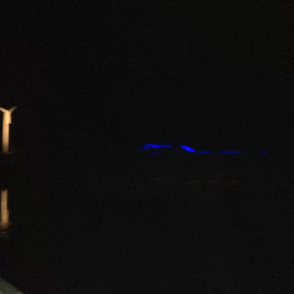 Photo of Sukhna Lake, Sector 1, Chandigarh, India by Aarush Tandon