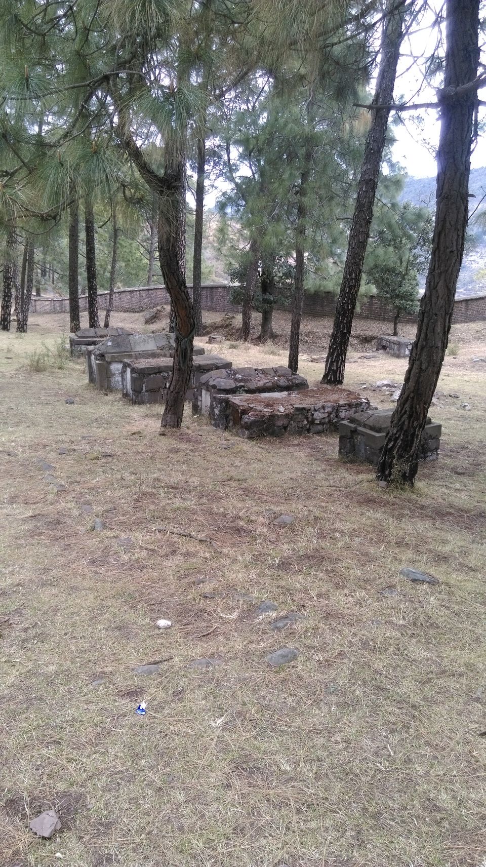 Photo of Dagshai and Kasauli : Do not Forget The Stephney by Aarush Tandon