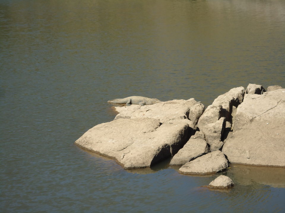 Photo of Trevor's Tank, Mount Abu, Rajasthan, India by Aarush Tandon