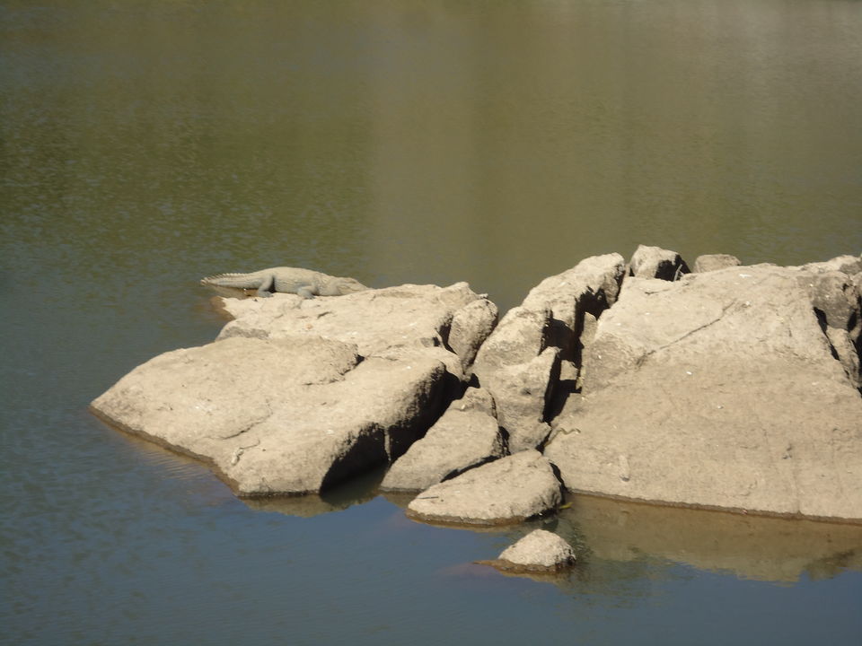 Photo of Trevor's Tank, Mount Abu, Rajasthan, India by Aarush Tandon