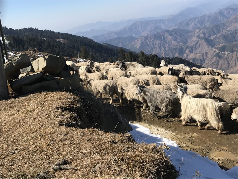 Photo of Parashar Lake, D.P.F. Parashar Dhar, Himachal Pradesh, India by Aarush Tandon
