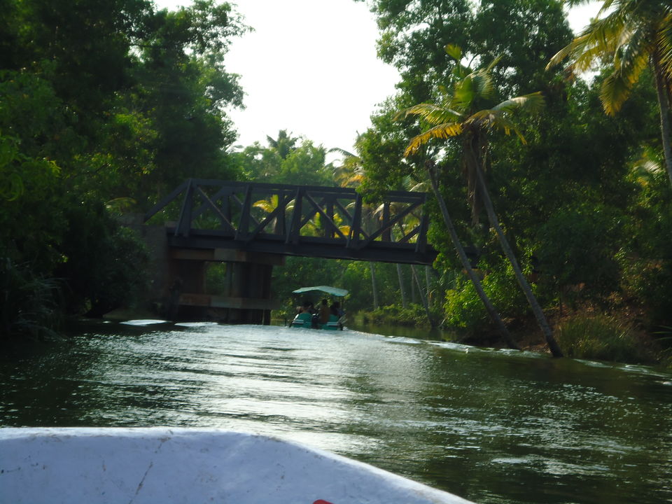 Photo of Estuary Island : Riding In A Movie 33/34 by Aarush Tandon