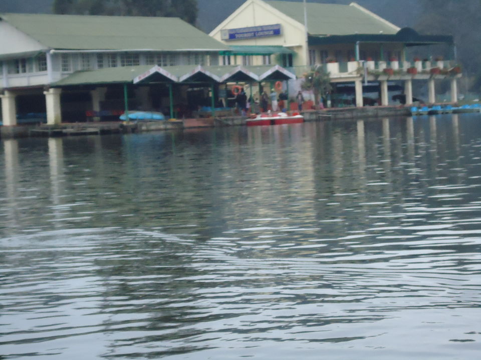 Photo of Mattupetty Lake, Kannan Devan Hills, Kerala, India by Aarush Tandon