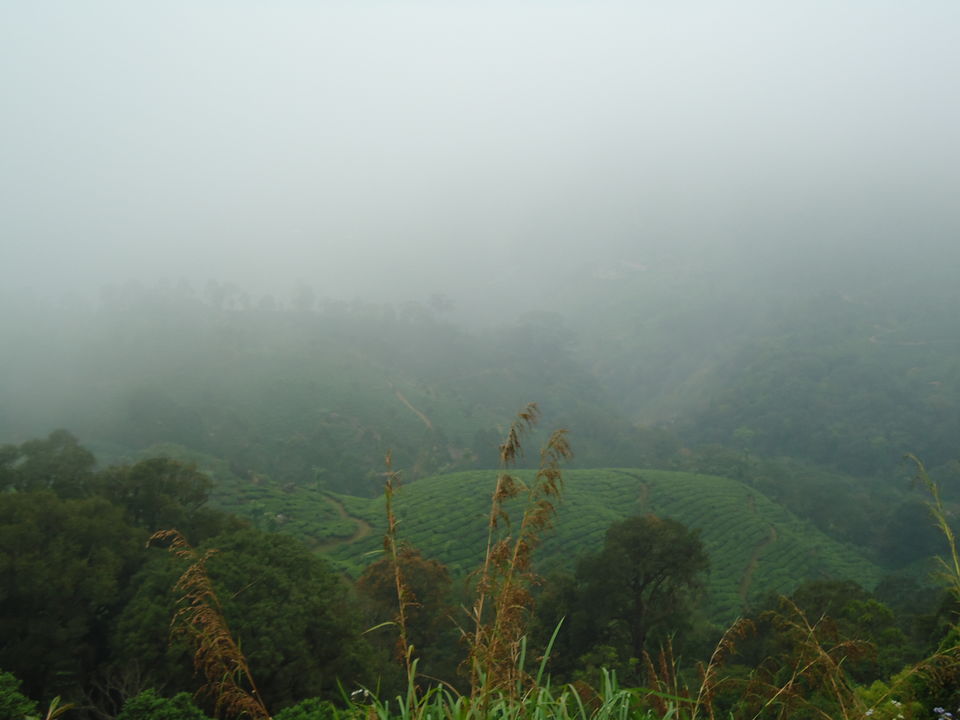 Photo of Mattupetty Lake, Kannan Devan Hills, Kerala, India by Aarush Tandon