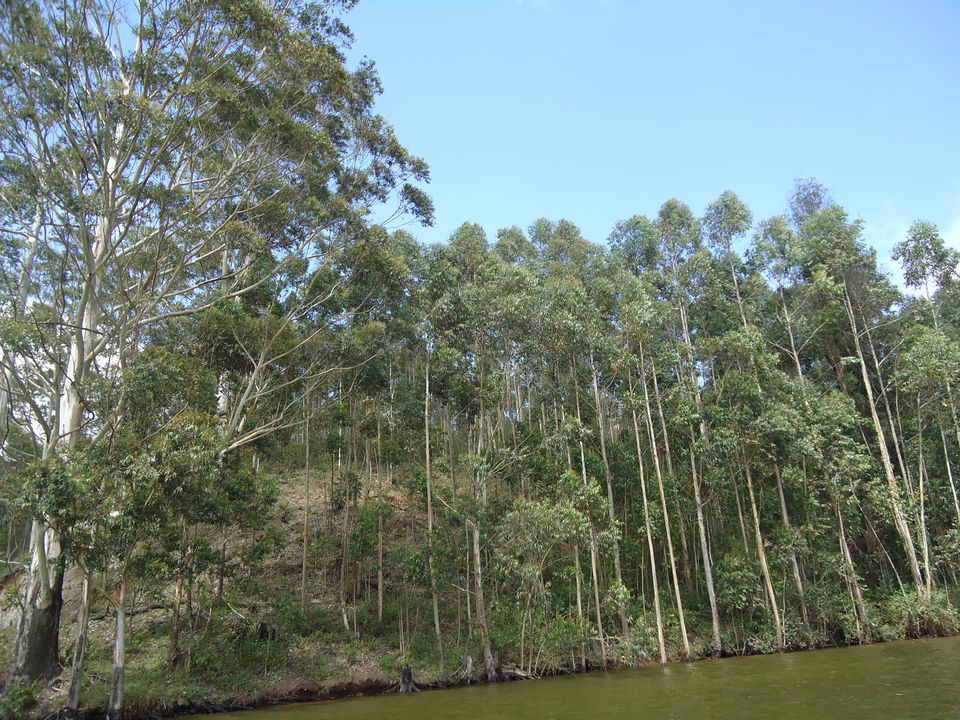 Photo of Mattupetty Lake, Kannan Devan Hills, Kerala, India by Aarush Tandon