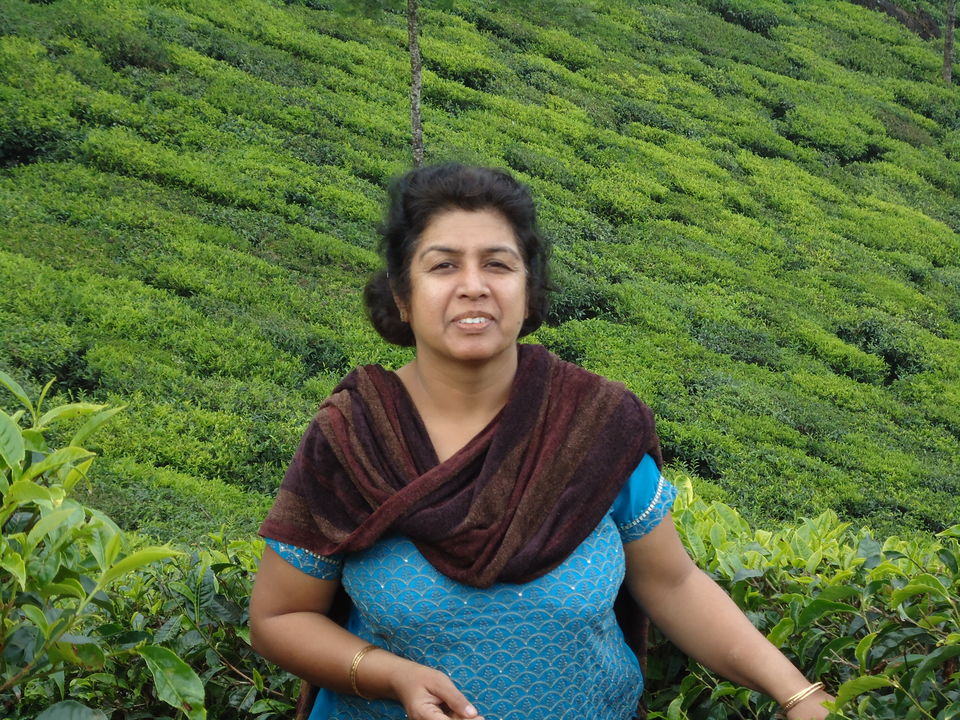 Photo of Mattupetty Lake, Kannan Devan Hills, Kerala, India by Aarush Tandon