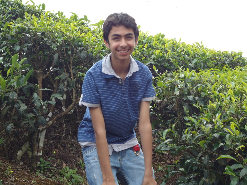 Photo of Mattupetty Lake, Kannan Devan Hills, Kerala, India by Aarush Tandon