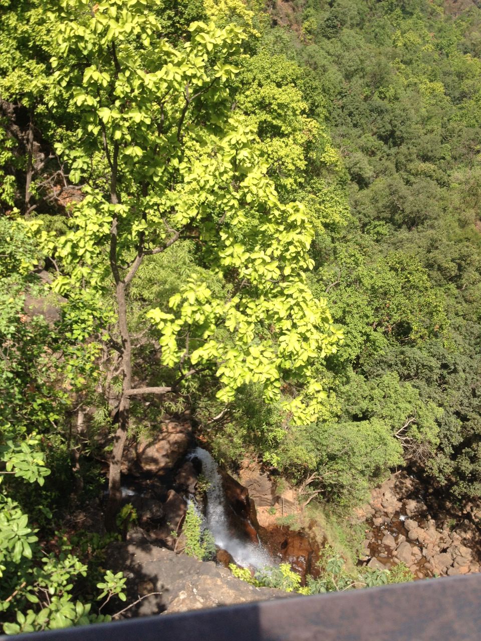 Photo of Gupt Mahadeo, Hoshangabad, Madhya Pradesh, India by Aarush Tandon