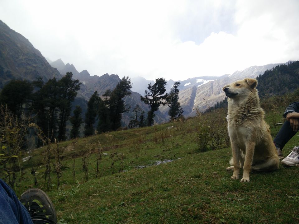 Photo of It is good to have an end to a Journey but in the end it is the Journey which matters : Patalsu Peak by Aarush Tandon