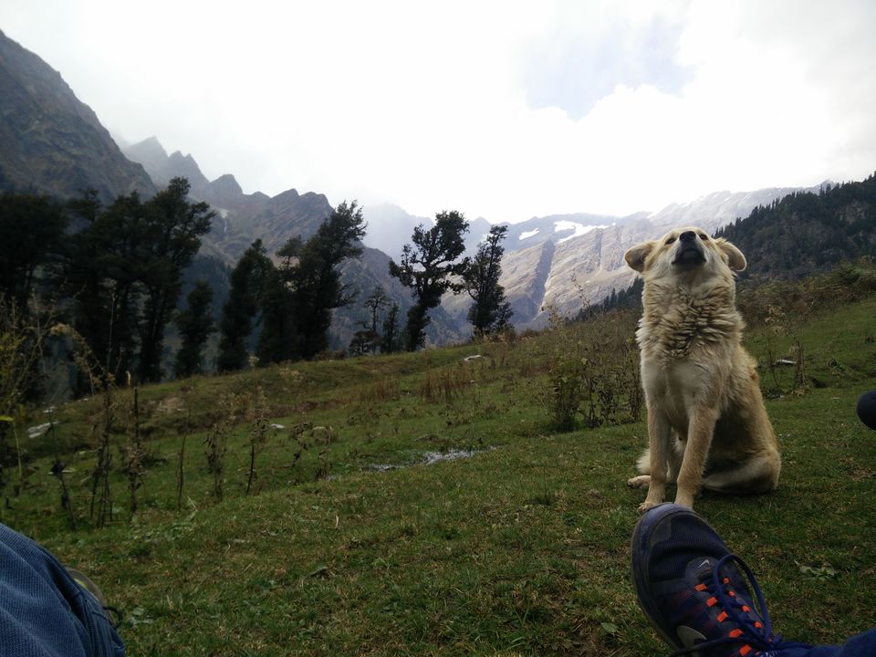 Photo of It is good to have an end to a Journey but in the end it is the Journey which matters : Patalsu Peak by Aarush Tandon