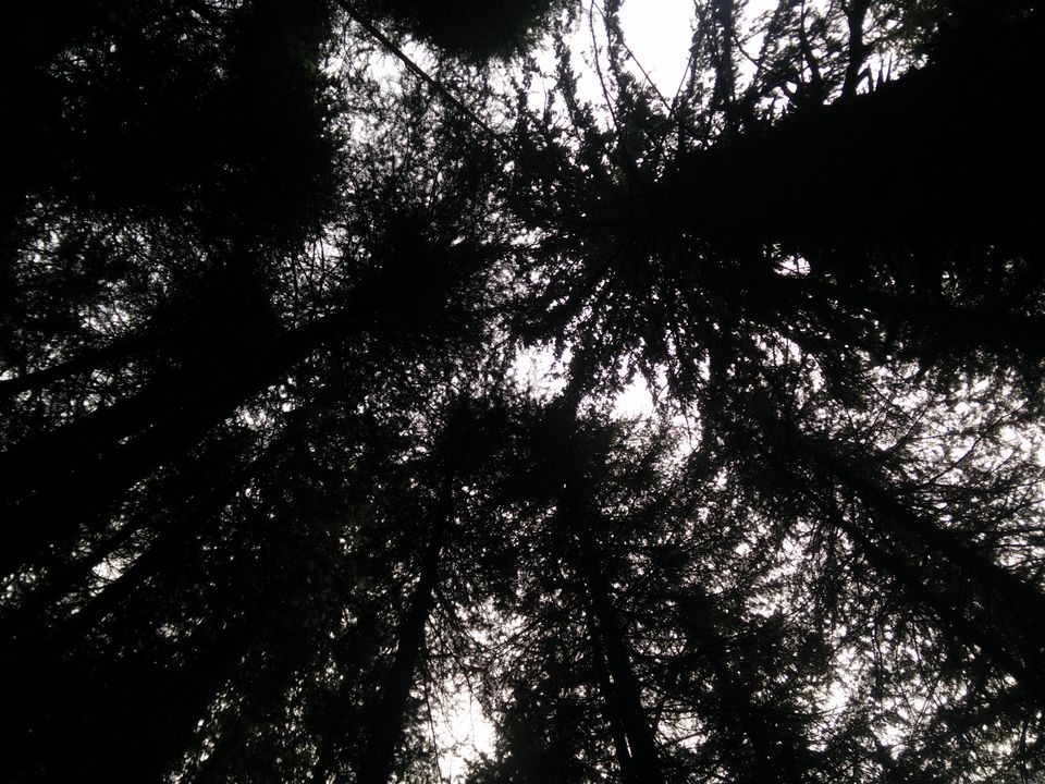 Photo of Manali Has You Now by Aarush Tandon