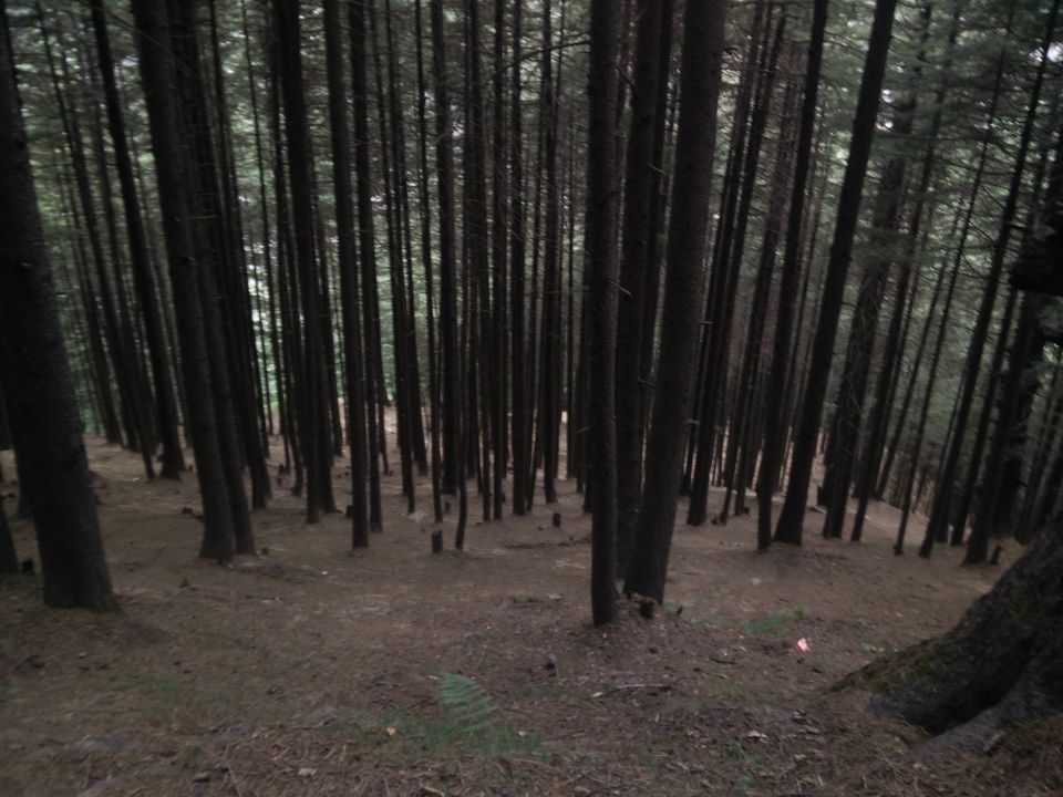 Photo of Manali Has You Now by Aarush Tandon