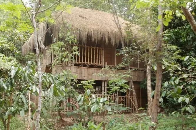 Photo of Always Searching For The Unusual : Take these 5 Unique AirBnb Experiences 3/5 by Aarush Tandon