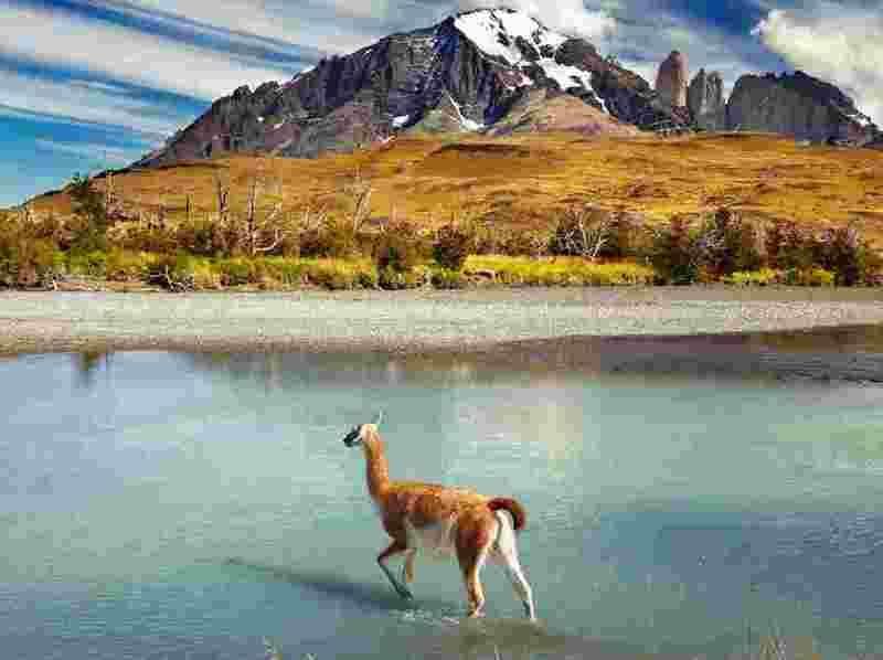 Photo of Why Patagonia is on the top of my Bucket List 2/3 by Aarush Tandon
