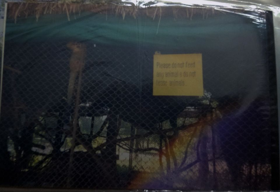 Photo of Nandankanan Zoological Park, Barang, Odisha, India by Aarush Tandon