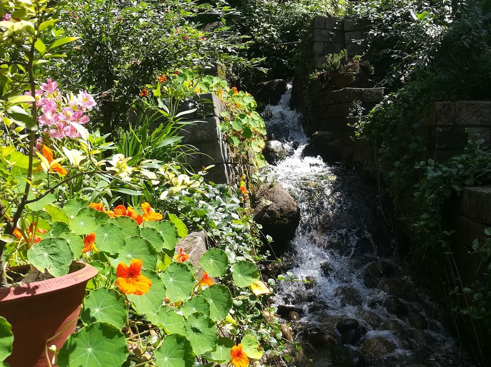 Photo of A freak Call to Manali by Aarush Tandon