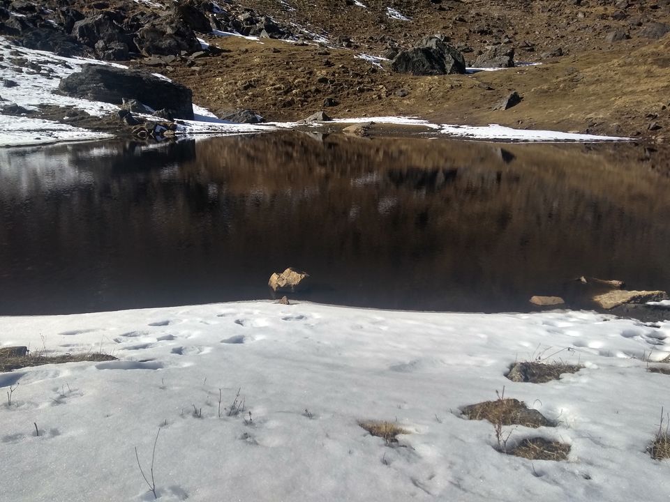 Photo of Kuari Pass : I got sponsored by Tripoto and IndiaHikes by Aarush Tandon