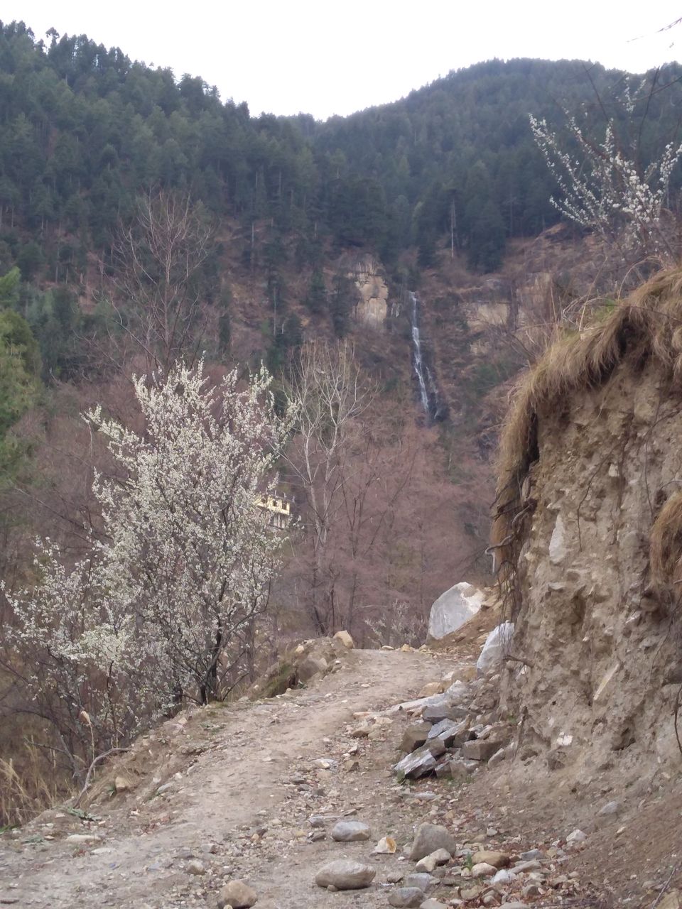Photo of Shallin, Himachal Pradesh, India by Aarush Tandon