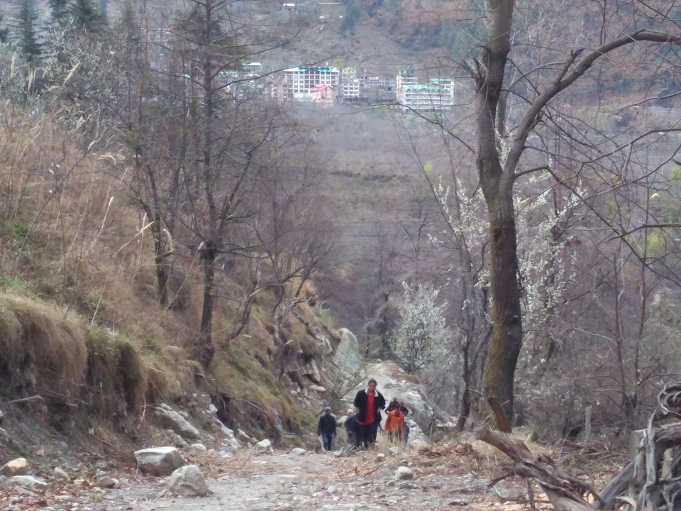 Photo of Shallin, Himachal Pradesh, India by Aarush Tandon