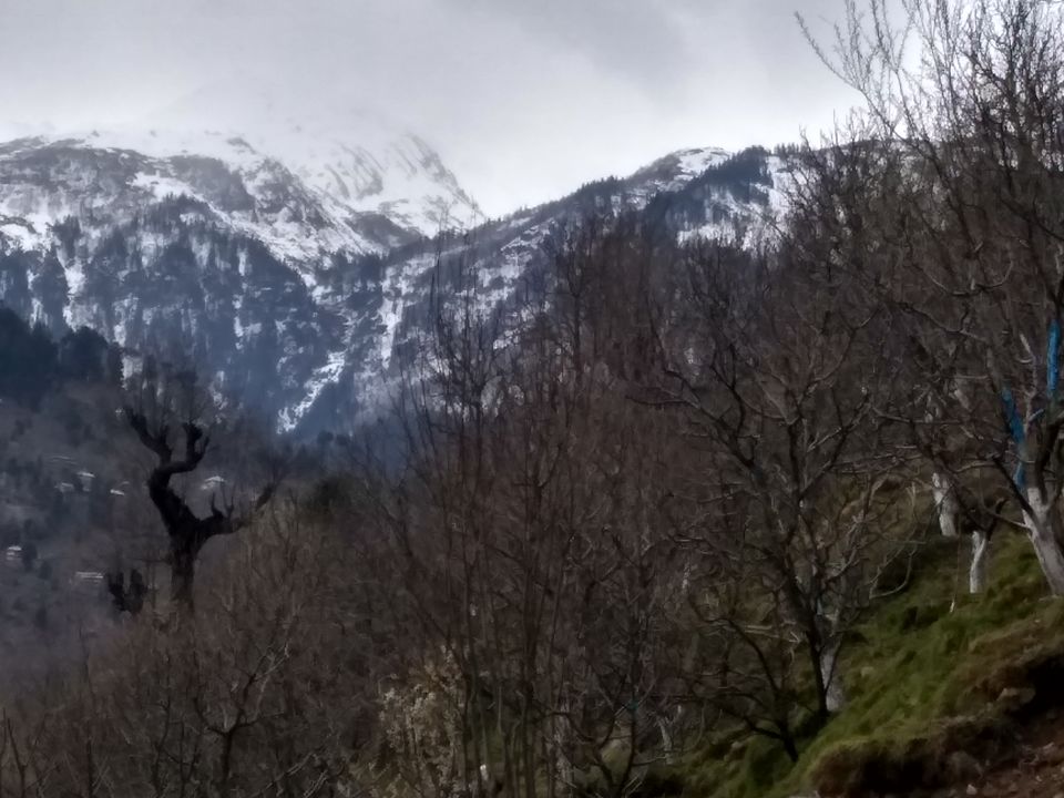 Photo of Shallin, Himachal Pradesh, India by Aarush Tandon