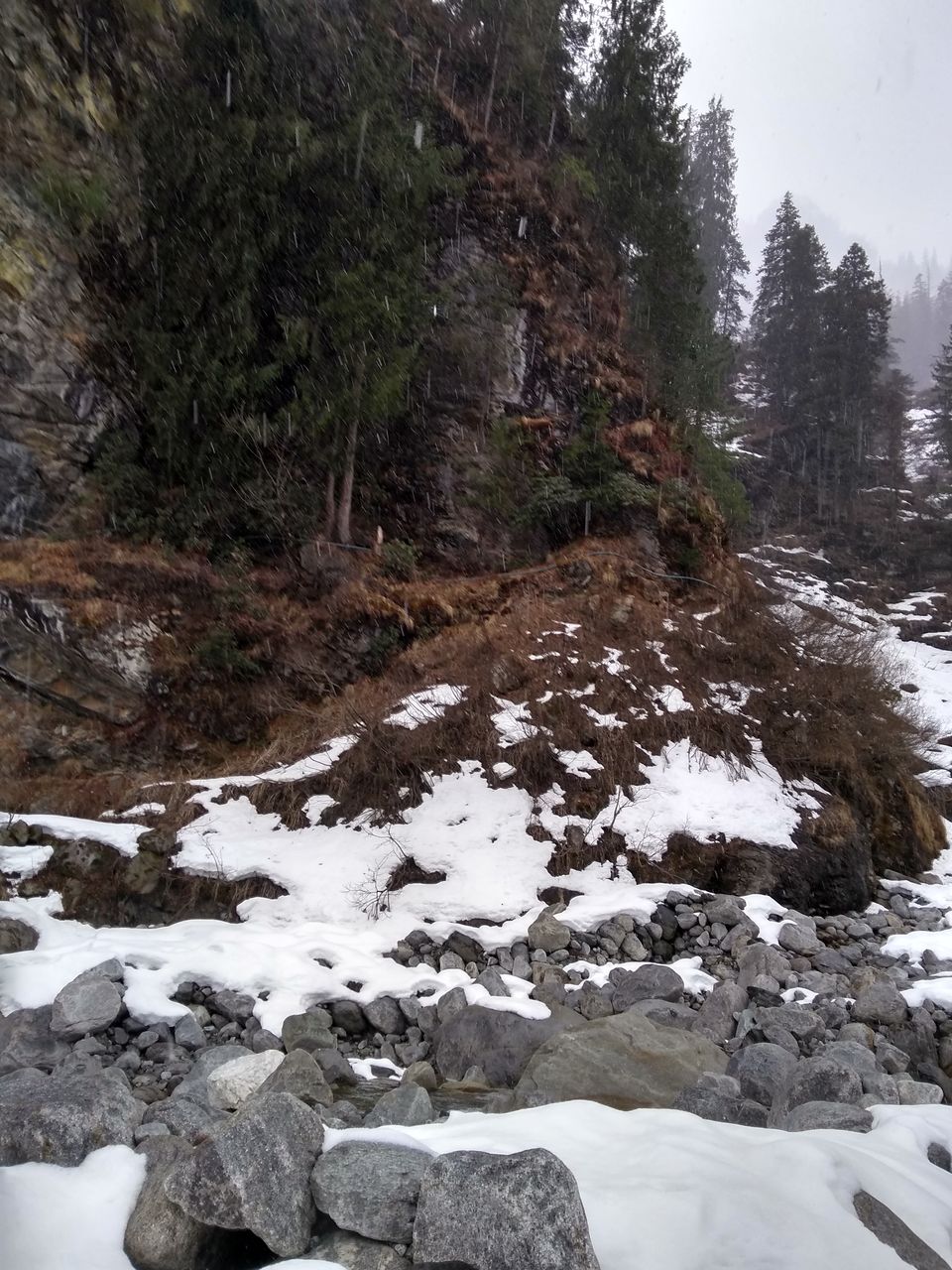Photo of #BestOfTravel My Manali Experience with Deyor Camps by Aarush Tandon
