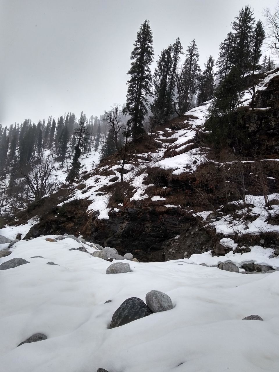 Photo of #BestOfTravel My Manali Experience with Deyor Camps by Aarush Tandon