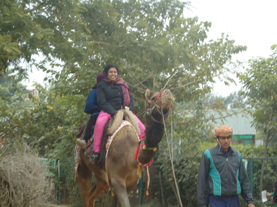 Photo of Pratapgarh Farms & Resorts, Jhajjar, Haryana, India by Aarush Tandon