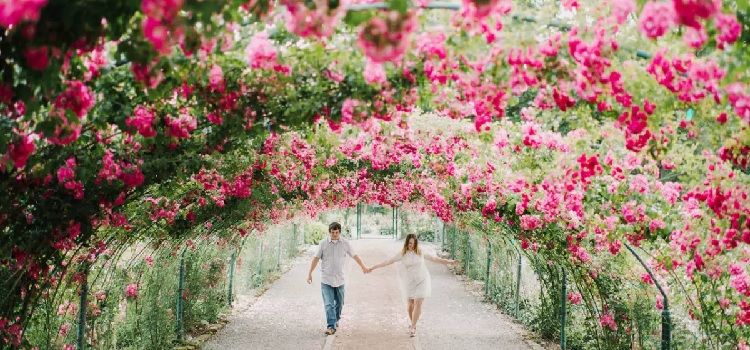 Photo of Rose Garden, 16B, Sector 16, Chandigarh, India by Aarush Tandon