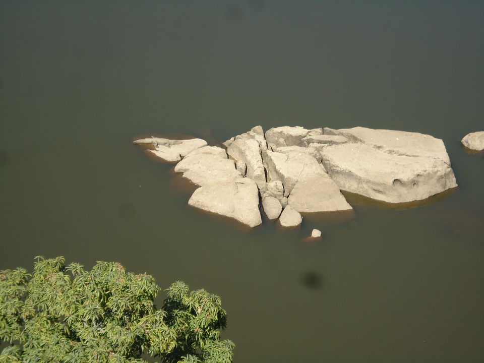 Photo of Trevor's Tank, Mount Abu, Rajasthan, India by Aarush Tandon