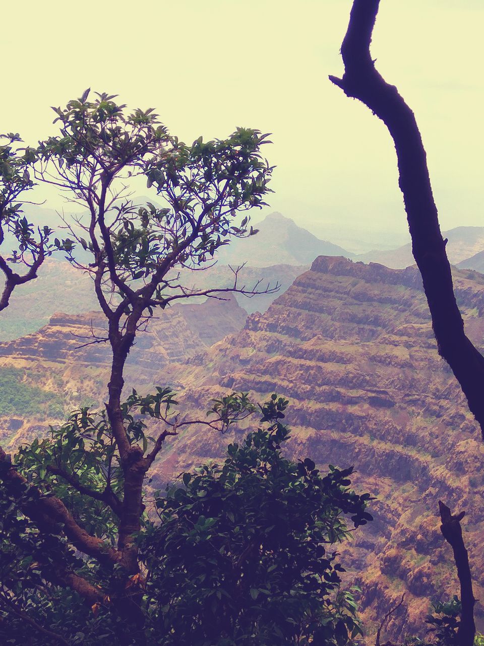 Photo of Mahabaleshwar, Maharashtra, India by Aarush Tandon