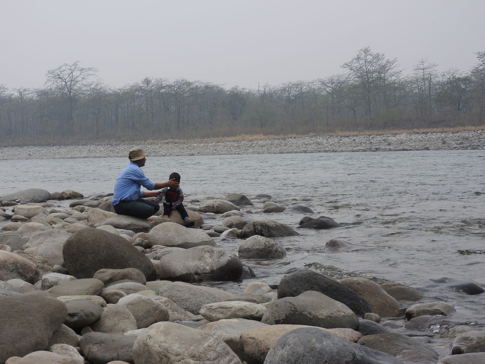 Photo of Manas National Park, Baksa, Assam, India by Puspanjalee Das Dutta