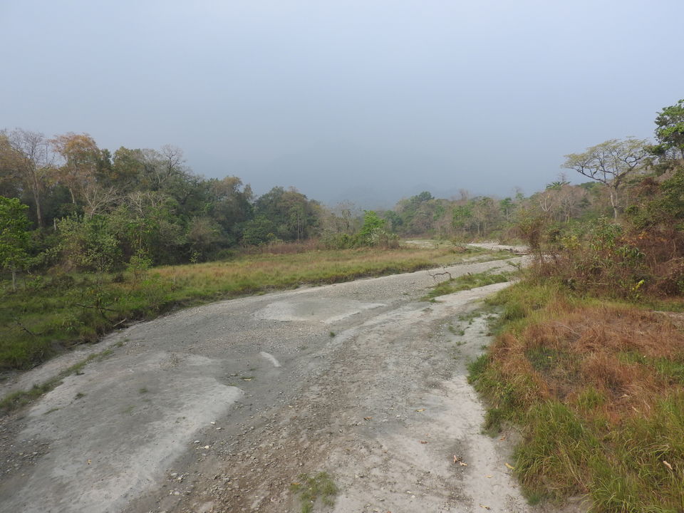 Photo of Manas National Park, Baksa, Assam, India by Puspanjalee Das Dutta