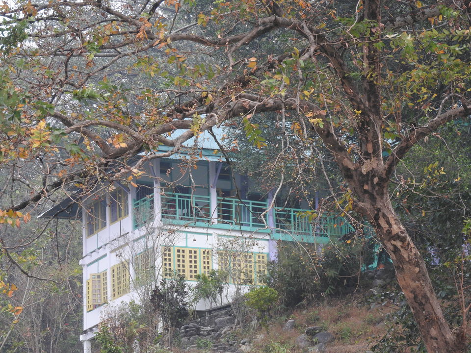 Photo of Manas National Park, Baksa, Assam, India by Puspanjalee Das Dutta