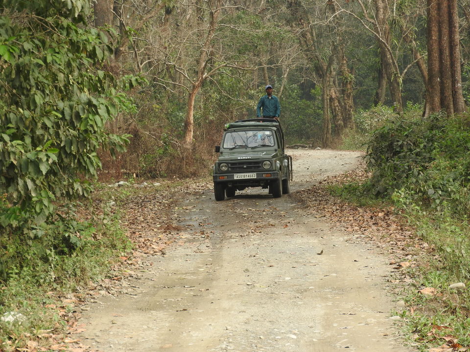 Photo of Manas National Park, Baksa, Assam, India by Puspanjalee Das Dutta