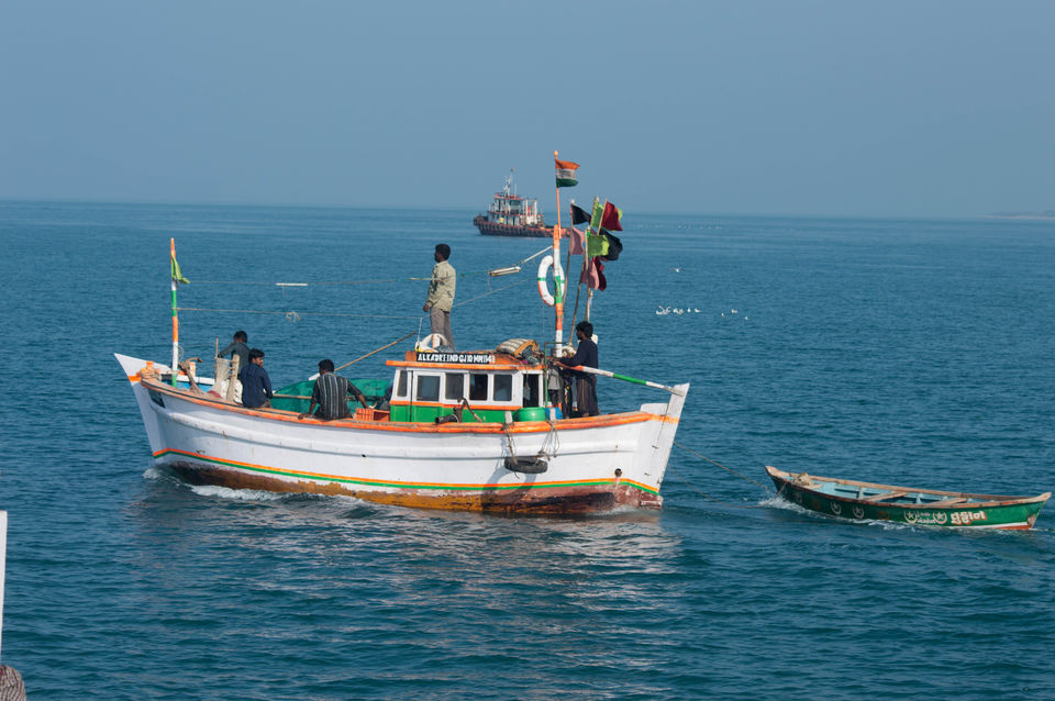Photo of A week long Trip to Lower Gujarat 3/10 by Aman Rathi