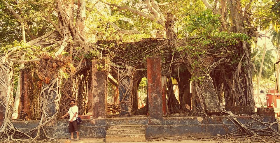 Photo of Why Andaman is a gift to Mankind? by Foodette_travel