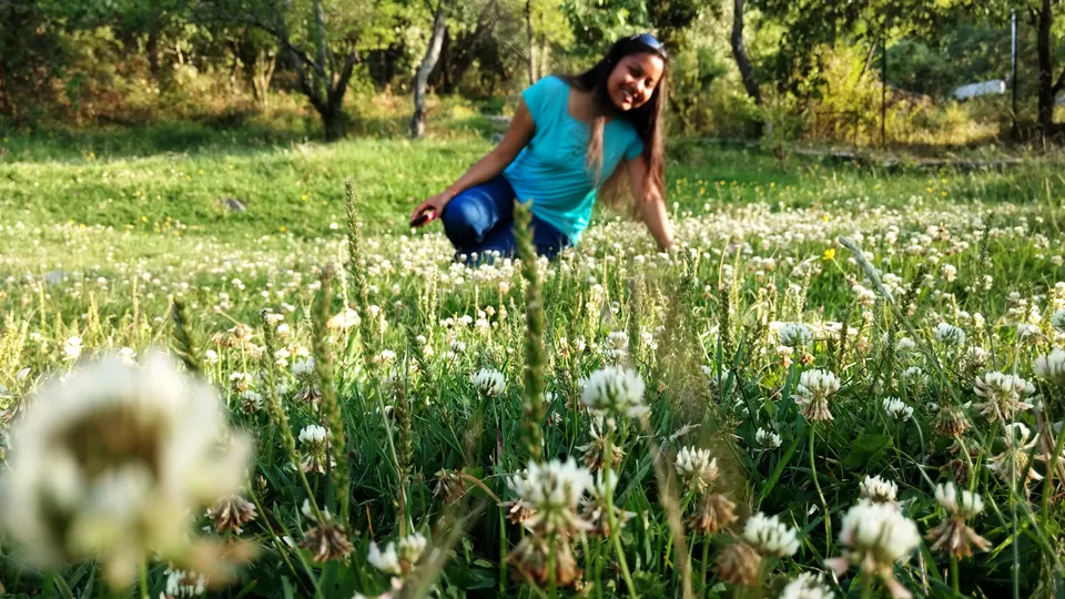 Photo of Khirsu, Uttarakhand, India by Priyanka Bansal