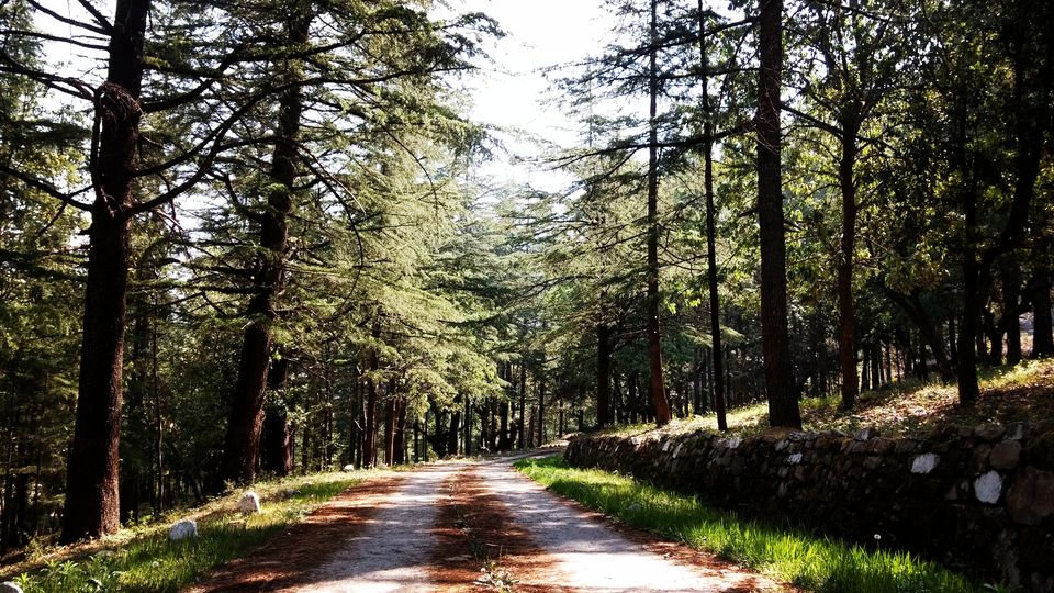 Photo of Khirsu: Hidden gem of Pauri Garhwal. by Priyanka Bansal