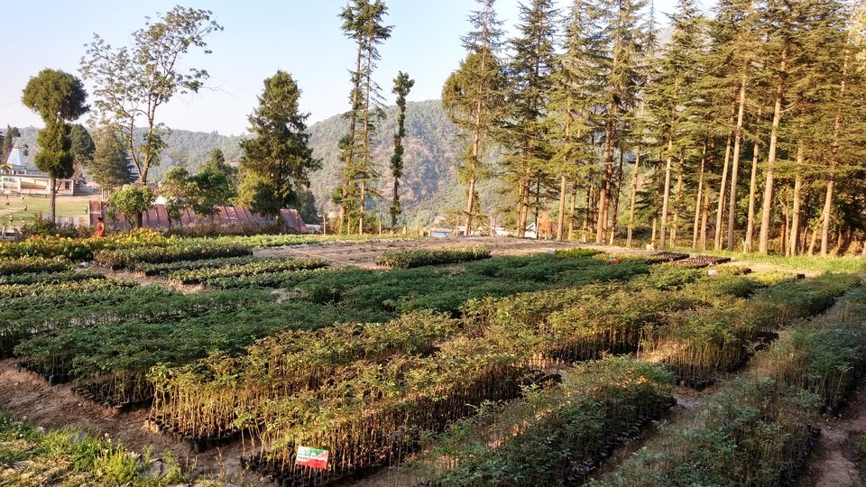 Photo of Khirsu: Hidden gem of Pauri Garhwal. by Priyanka Bansal