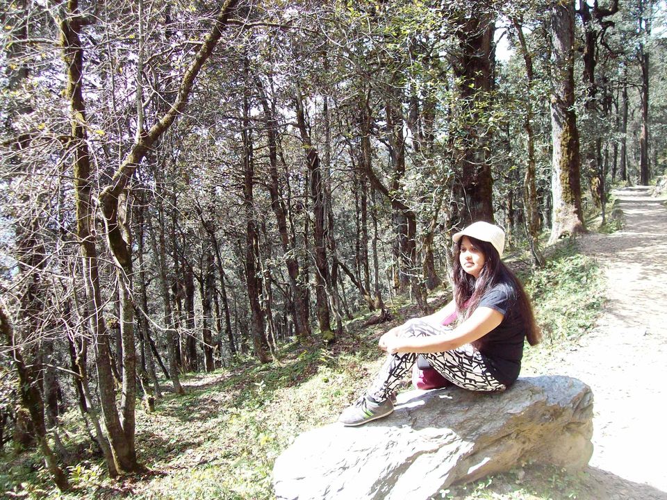 Photo of Tirthan Valley: A sneak peek into the trails of Jalori Pass, Serloskar Lake and Gahidhar Falls. by Priyanka Bansal