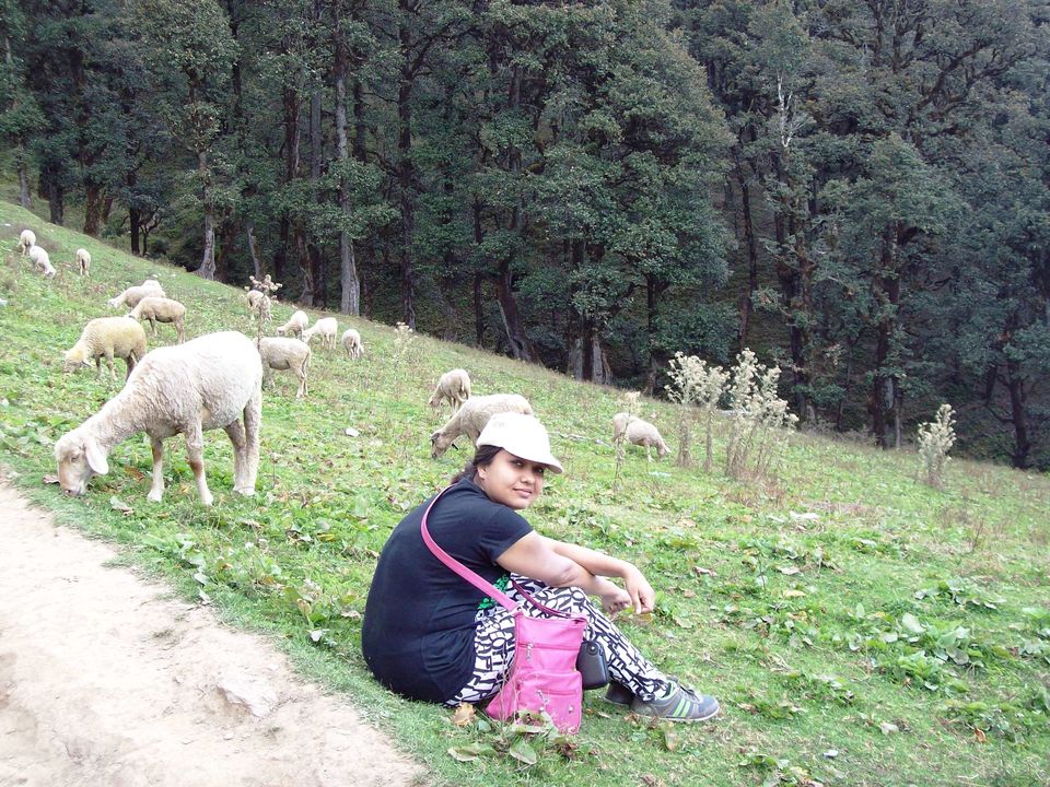 Photo of Tirthan Valley: A sneak peek into the trails of Jalori Pass, Serloskar Lake and Gahidhar Falls. by Priyanka Bansal